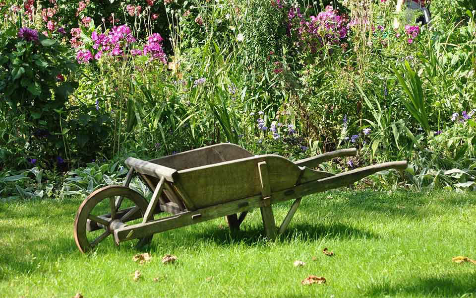 Image de la catégorie POTAGER ET JARDINAGE