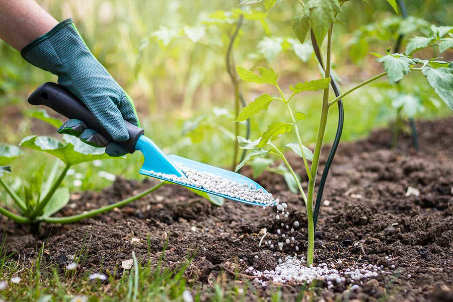 Image de la catégorie ENGRAIS POTAGER