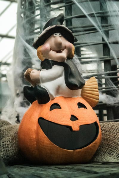 Halloween chez Tournesols : Sorcière assise sur un potiron