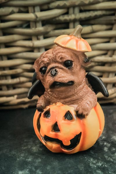 Halloween chez Tournesols : petit chien dans un potiron sculpté