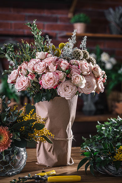 La rose fleur entretien