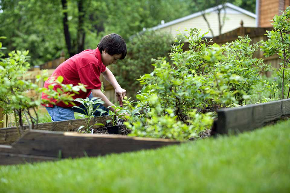 Terreaux pour plantes de jardin et potager