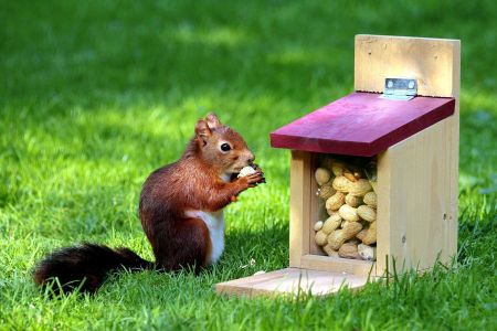 Voir les produits de la catégorie Abri animaux des jardins Image de la catégorie Abri animaux des jardins