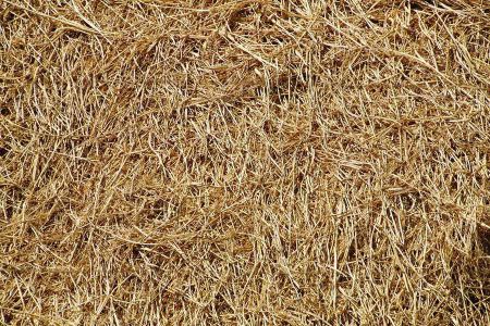 Voir les produits de la catégorie Entretien, foin & paille Image de la catégorie Entretien, foin & paille