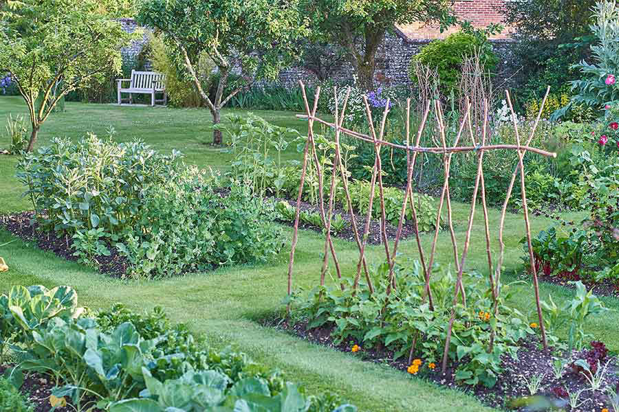 Image de la catégorie JARDIN