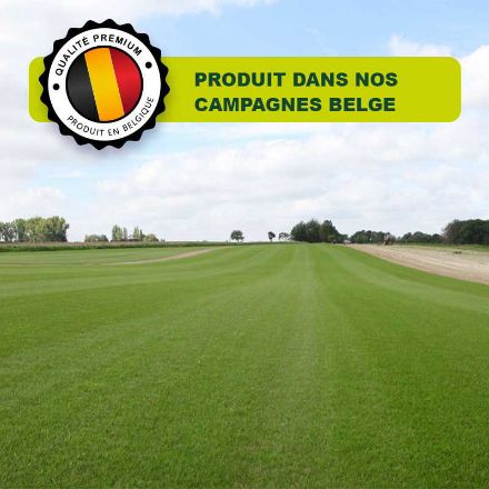 Gazon naturel en rouleau belgique Gazon naturel en rouleau belgique