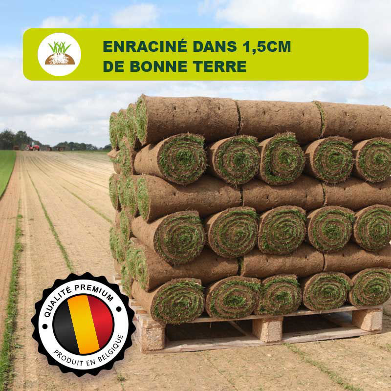 Gazon naturel en rouleau