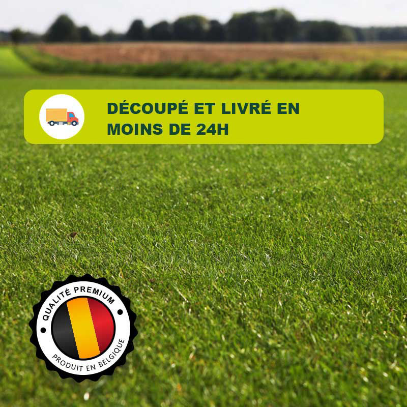 Gazon naturel en rouleau