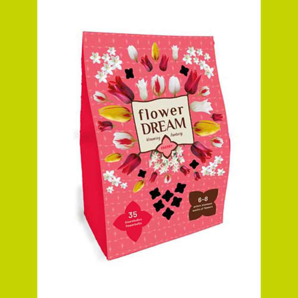 Image sur Bulbes à fleurs X 1 Box Flower dream Cherry
