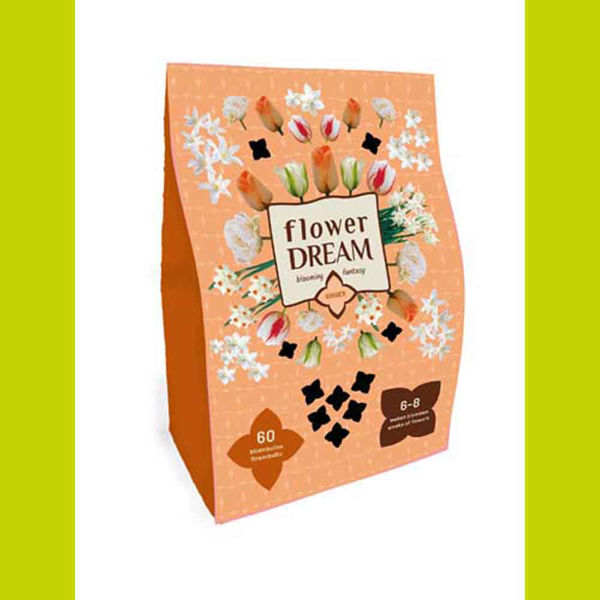 Image sur Bulbes à fleurs X 1 Box Flower dream Ginger