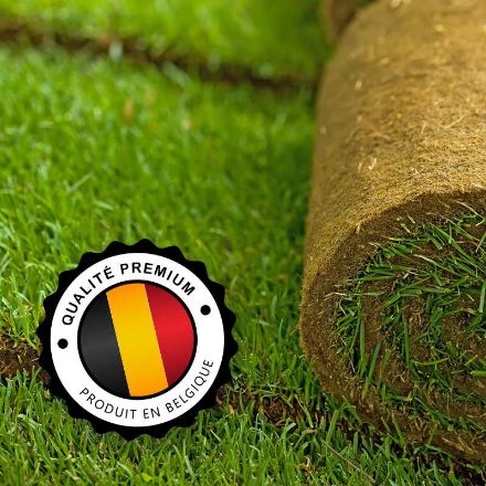 gazon naturel en rouleau promo gazon naturel en rouleau