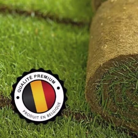 Voir les produits de la catégorie GAZON NATUREL Image de la catégorie GAZON NATUREL