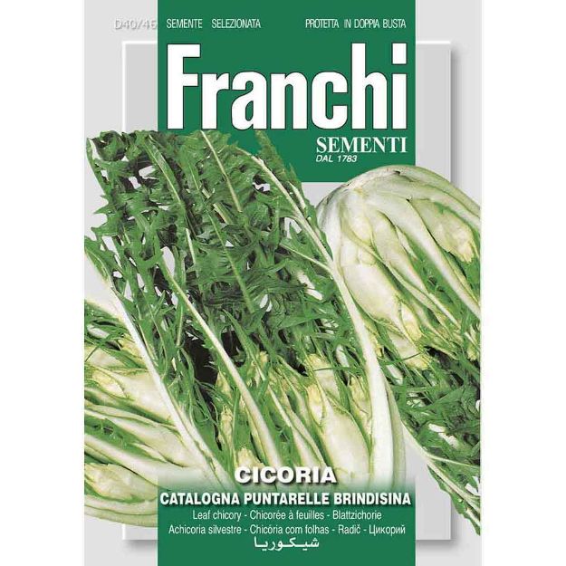 Image de Graines chicoree cicoria catalogna brindisina - Franchi