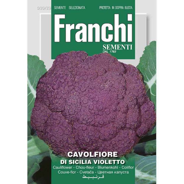 Image de Graines chou fleur cavolfiore di sicilia violetto - Franchi