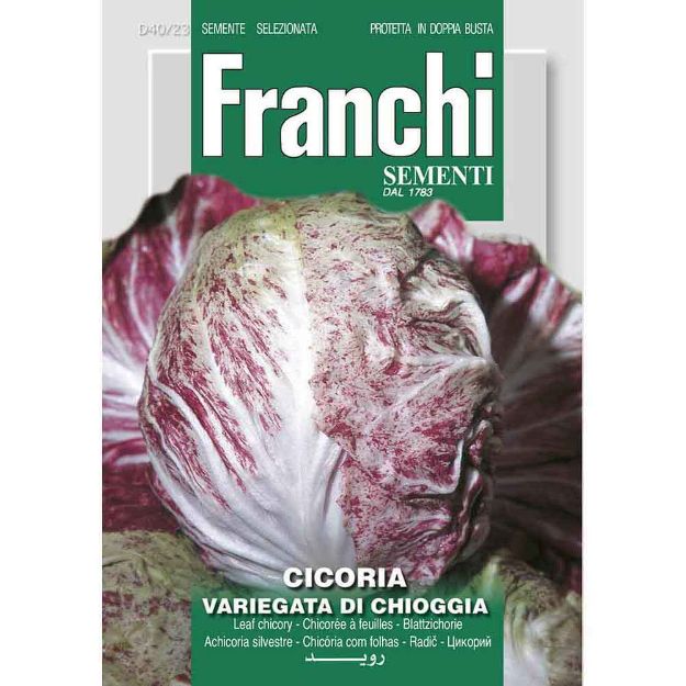 Image de Graines chicoree cicoria variegata di chioggia - Franchi