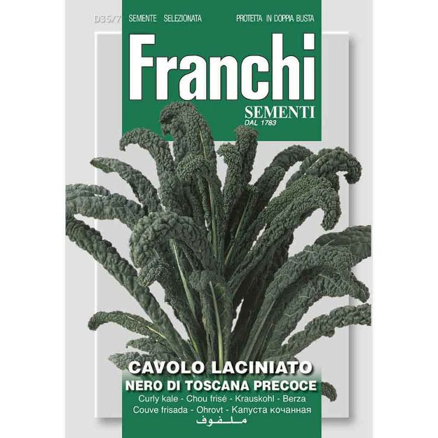 Image de Graines chou frise cavolo laciniato nero di toscana - Franchi