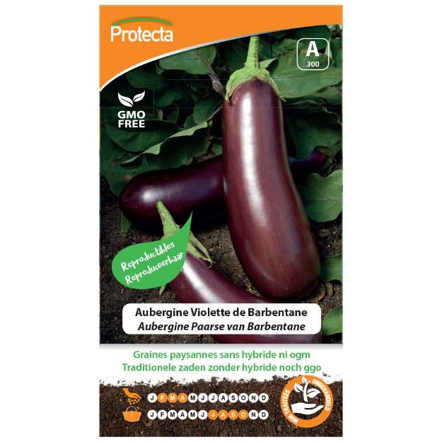 Image de Graines d'aubergine violette de barbentane - Protecta