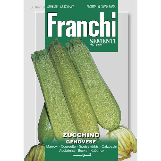Image de Graines courgette zucchino genovese - Franchi