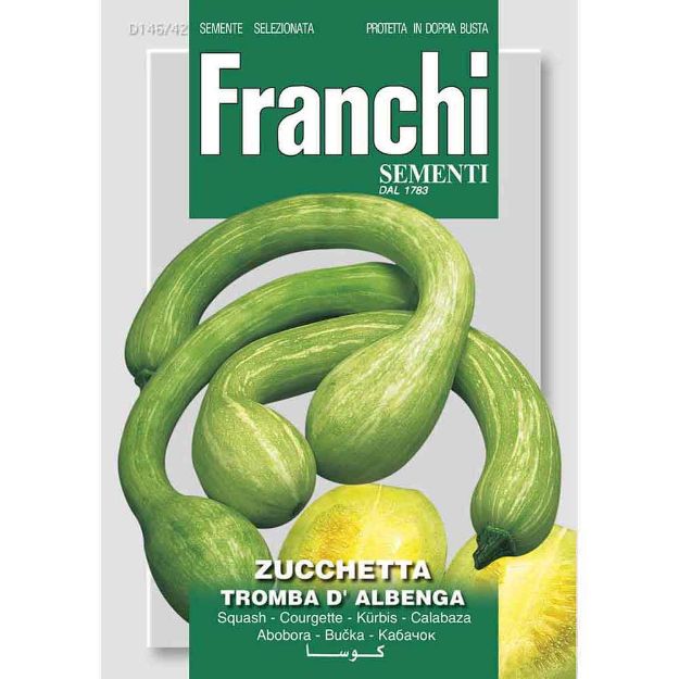 Image de Graines courgette zucchetta tromba d'albenga - Franchi