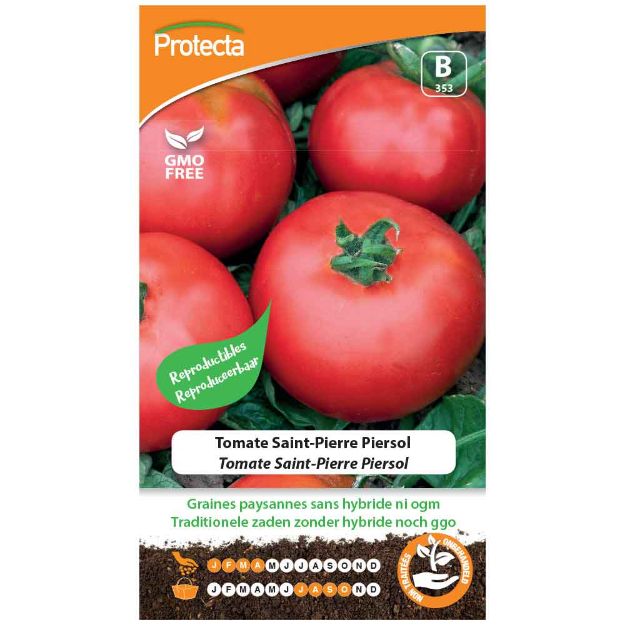 Image de Graines de tomate saint-pierre piersol - Protecta