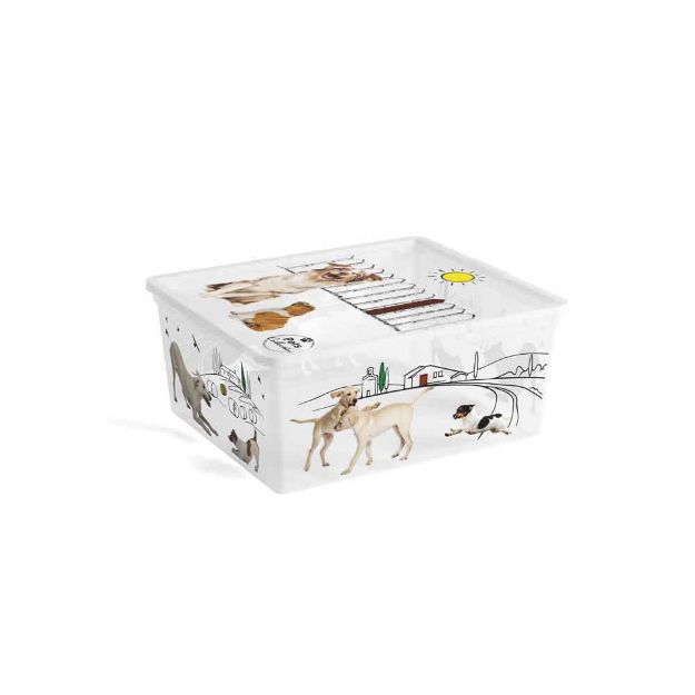 Image de PETS C-BOX BOX DE RANGEMENT M 18L 40X34X