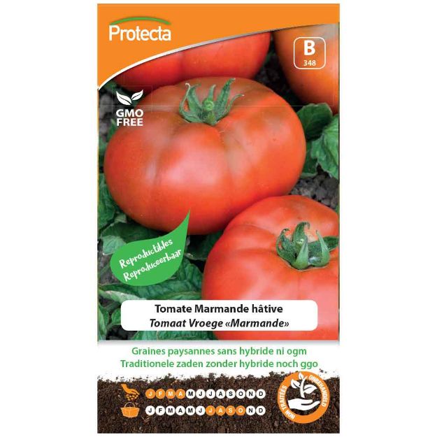 Image de Graines de tomate marmande hâtive - Protecta