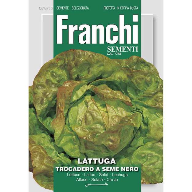 Image de Graines laitue lattuga trocadero a seme nero- Franchi