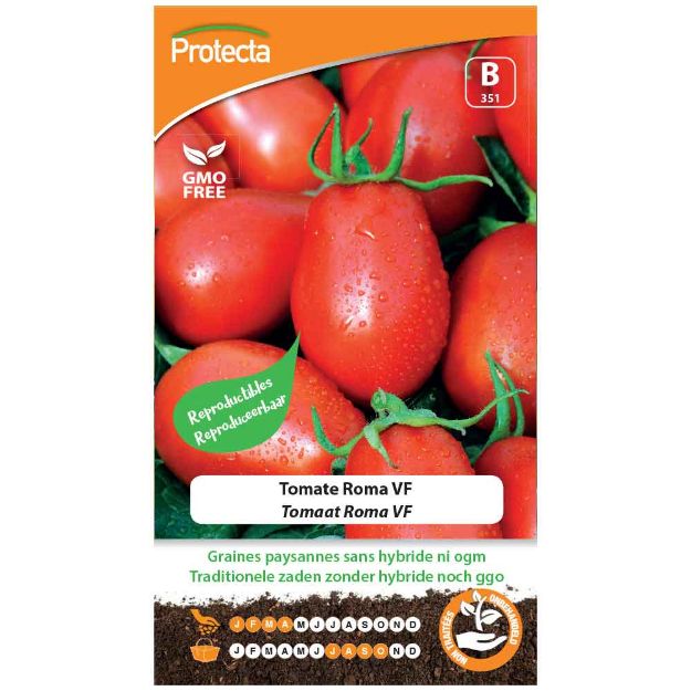 Image de Graines de tomate roma  - Protecta