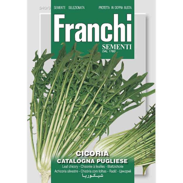 Image de Graines chicoree cicoria catalogna pugliese - Franchi
