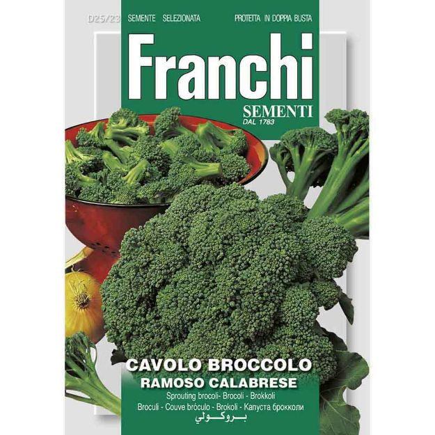 Image de Graines chou brocoli cavbroccolo ramoso calabrese - Franchi