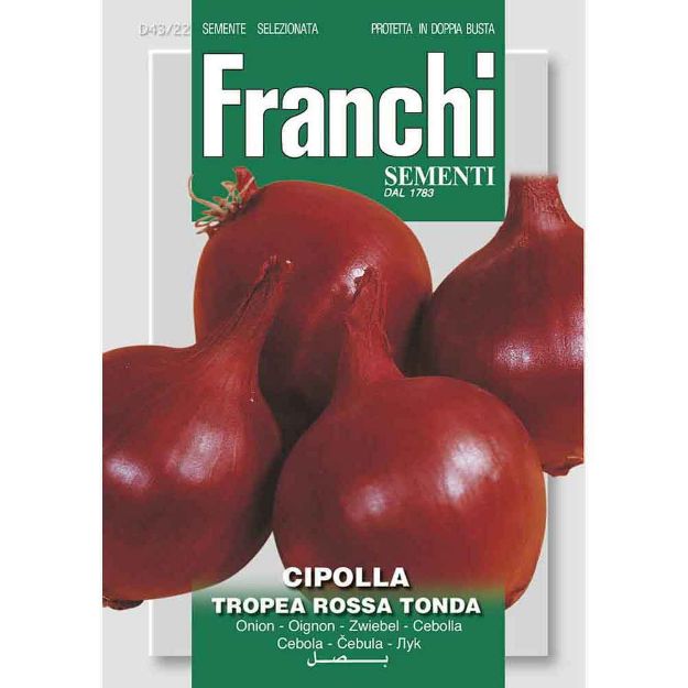 Image de Graines cipolla tropea rossa tonda- Franchi