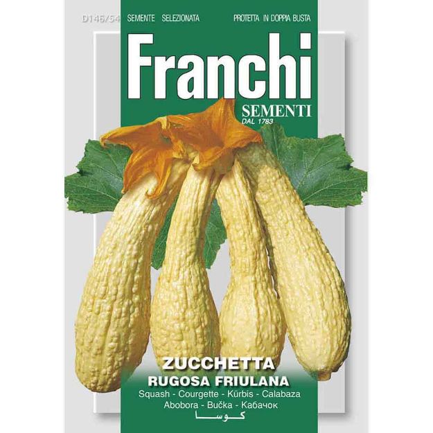 Image de Graines courgette zucchetta rugosa friulana - Franchi