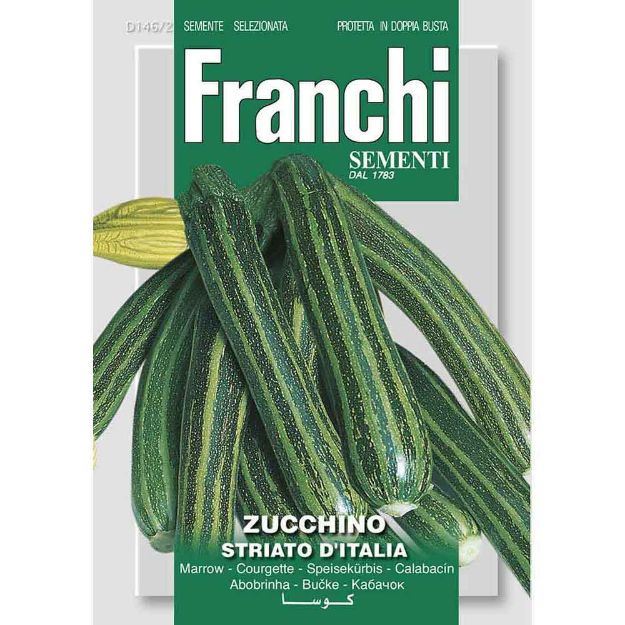 Image de Graines courgette zucchino striato italia - Franchi