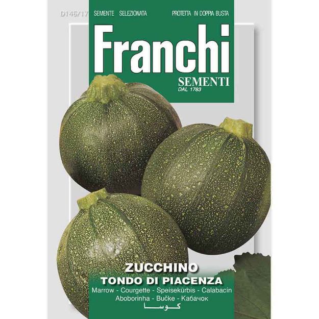 Image de Graines courgette zucchino tondo di piacenza - Franchi