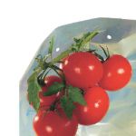 Image de TOMATOTUBE-Housse tomates LDPE 50 microns- 0,60x10m