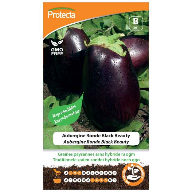 Image de Graines d'aubergine ronde black beauty - Protecta