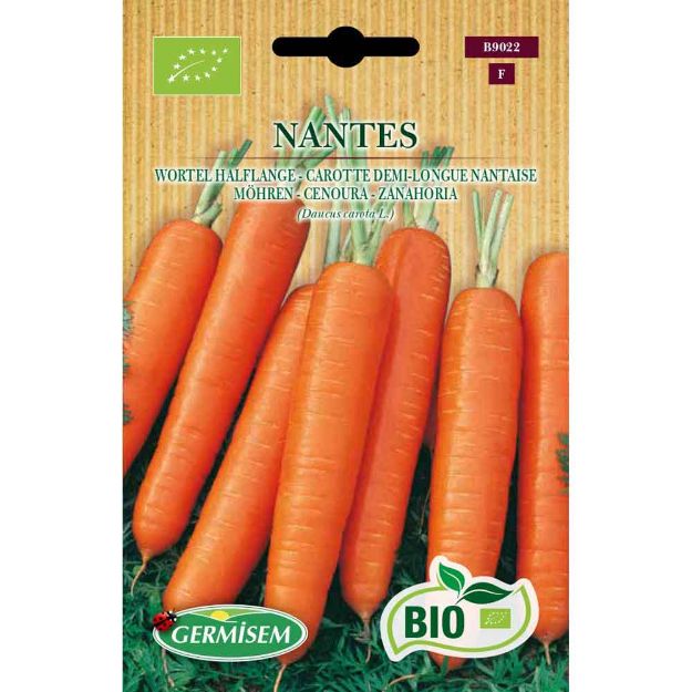 Image de Graines bio de carotte demi-longue nantaise