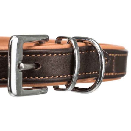 Agrandir l'image de Active collier Comfort, en cuir Image de Active collier Comfort, en cuir