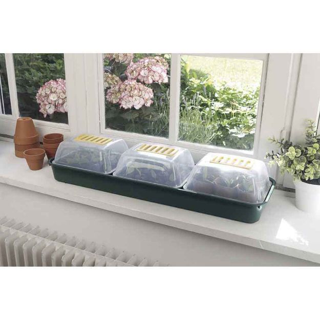 Image de Lot de 3 mini serres pour fenêtres avec bac   22x17xh.13cm