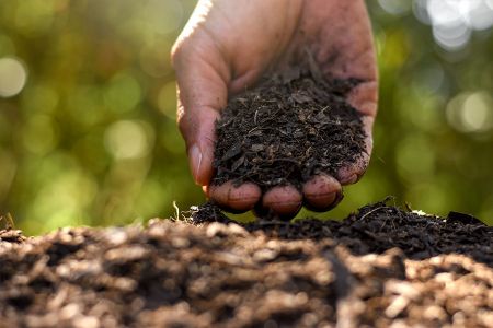 Voir les produits de la catégorie Terreaux plantes intérieur Image de la catégorie Terreaux plantes intérieur