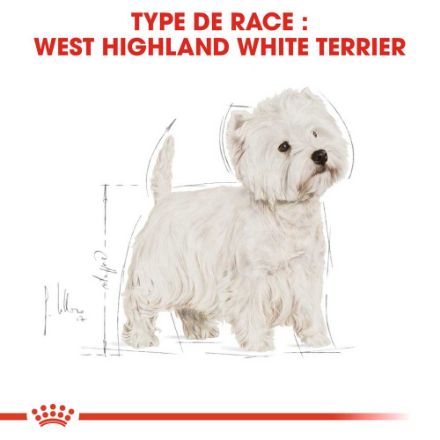 Agrandir l'image de BHN Westie Adult 3kg Image de BHN Westie Adult 3kg