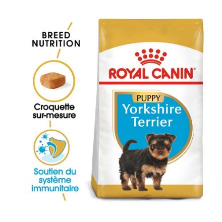 Agrandir l'image de BHN Yorkshire Ter. Puppy 1,5kg Image de BHN Yorkshire Ter. Puppy 1,5kg