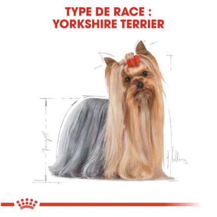 Agrandir l'image de BHN Yorkshire Ter. Ad 8+ 3kg Image de BHN Yorkshire Ter. Ad 8+ 3kg
