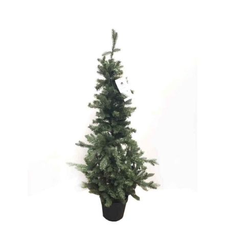 Agrandir l'image de Sapin 2D 120cm Image de Sapin 2D 120cm