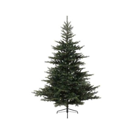 Agrandir l'image de sapin Grandis 180cm vert Image de sapin Grandis 180cm vert