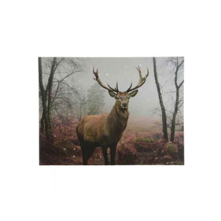 Agrandir l'image de Cadre Blanc froid1.8x58x78cm-4Led Image de Cadre Blanc froid1.8x58x78cm-4Led