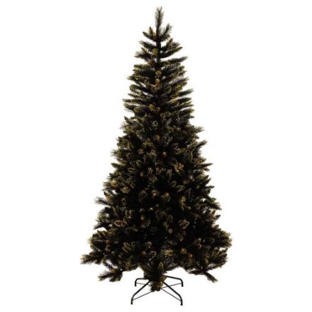 Agrandir l'image de Sapin Golden Black Bristle h228cm Image de Sapin Golden Black Bristle h228cm