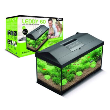 Agrandir l'image de AQUARIUM LEDDY 60 NOIR BIO équipé 60x30x30cm 54L Image de AQUARIUM LEDDY 60 NOIR BIO équipé 60x30x30cm 54L