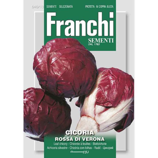 Image de Graines chicoree cicoria rossa di verona - Franchi
