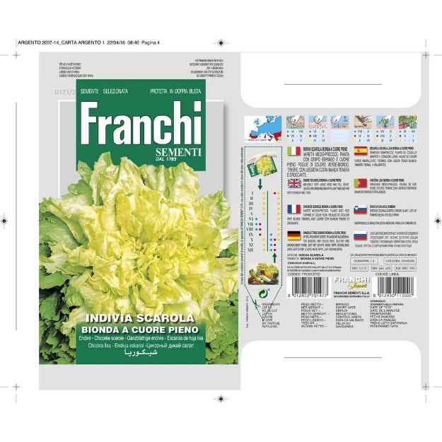 Image de Graines chicoree scarole indivia bionda a cuore pieno- Franchi